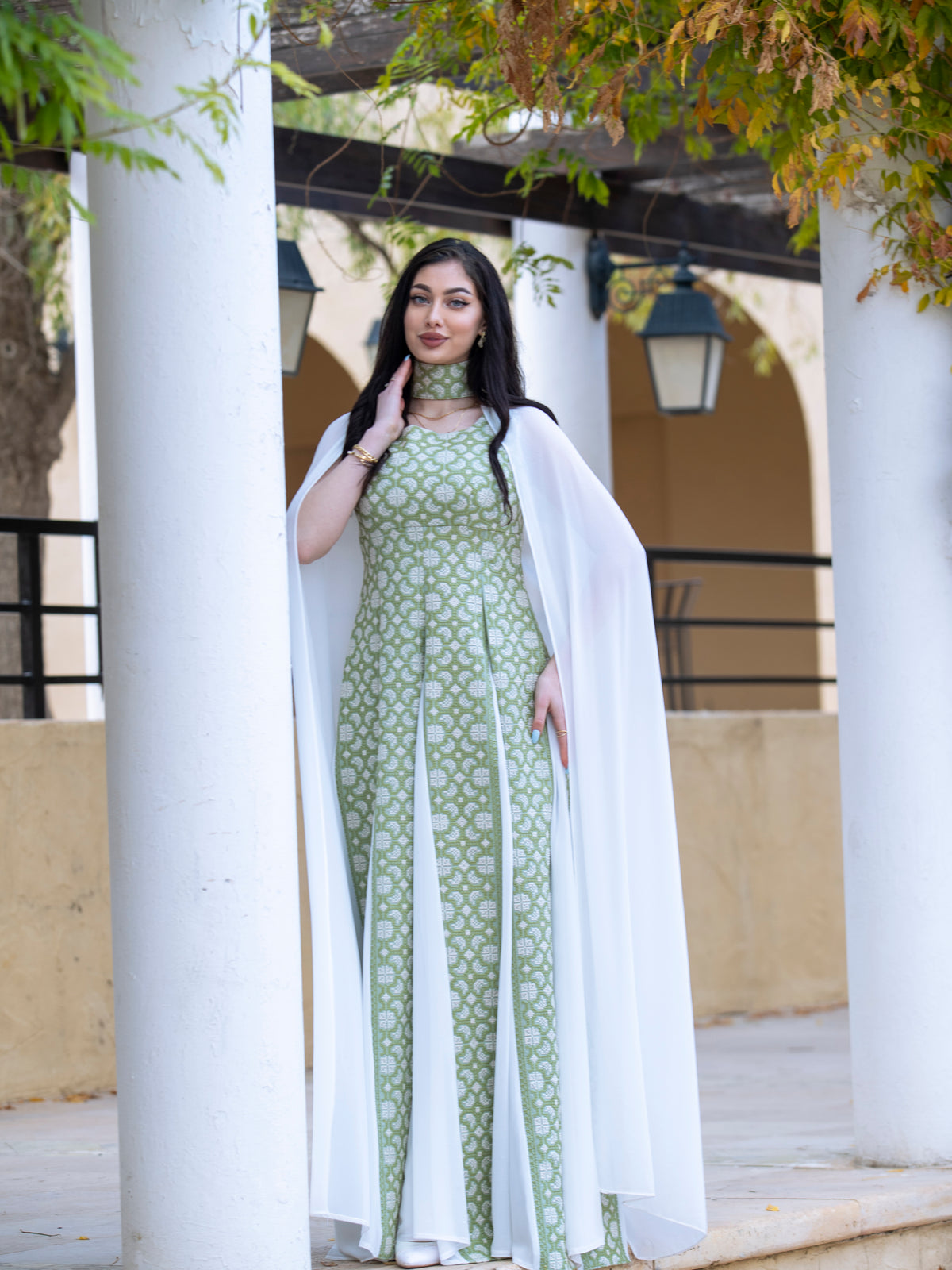 Dana embroidered dress